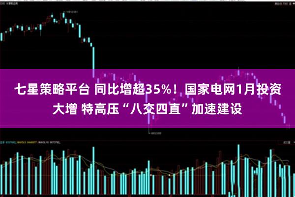 七星策略平台 同比增超35%！国家电网1月投资大增 特高压“八交四直”加速建设
